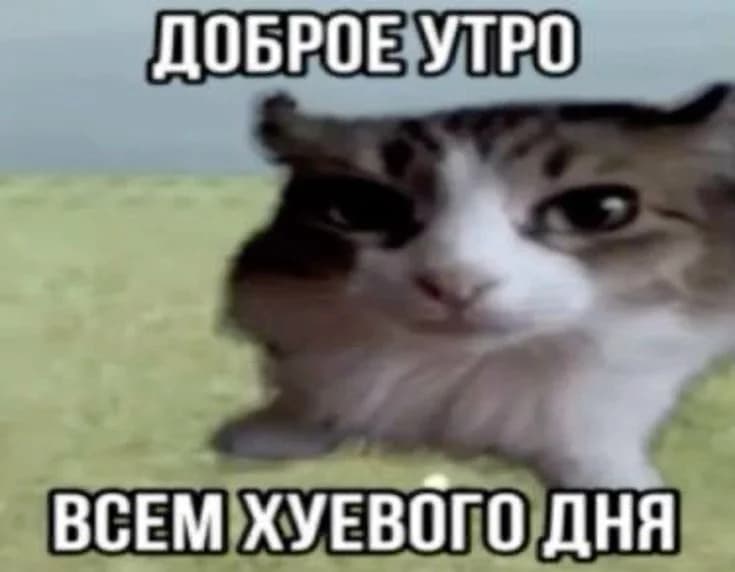 Обложка профиля