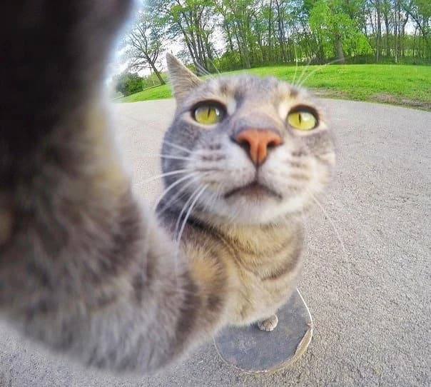 1466503435_novye-selfi-menni-6.jpg