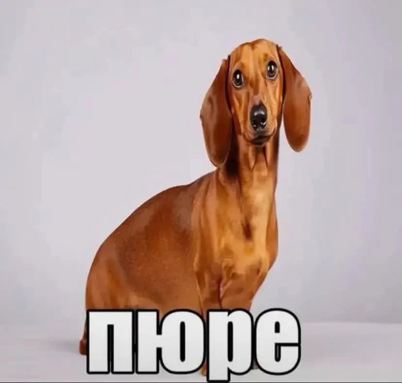 1000102029.jpg