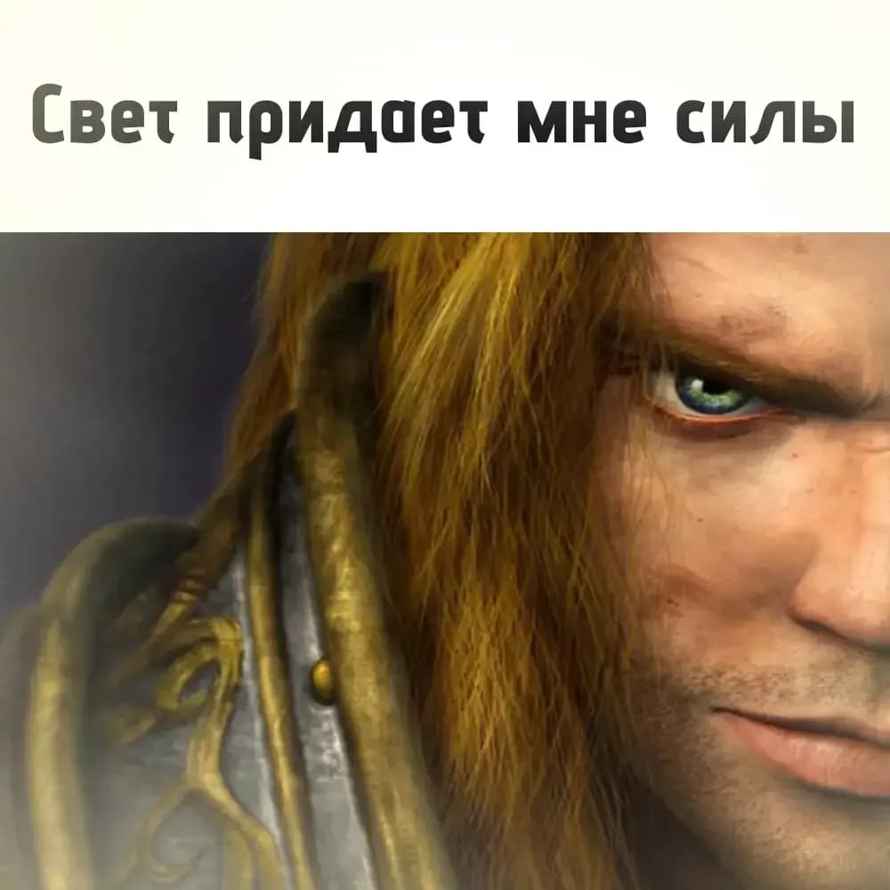 349.webp