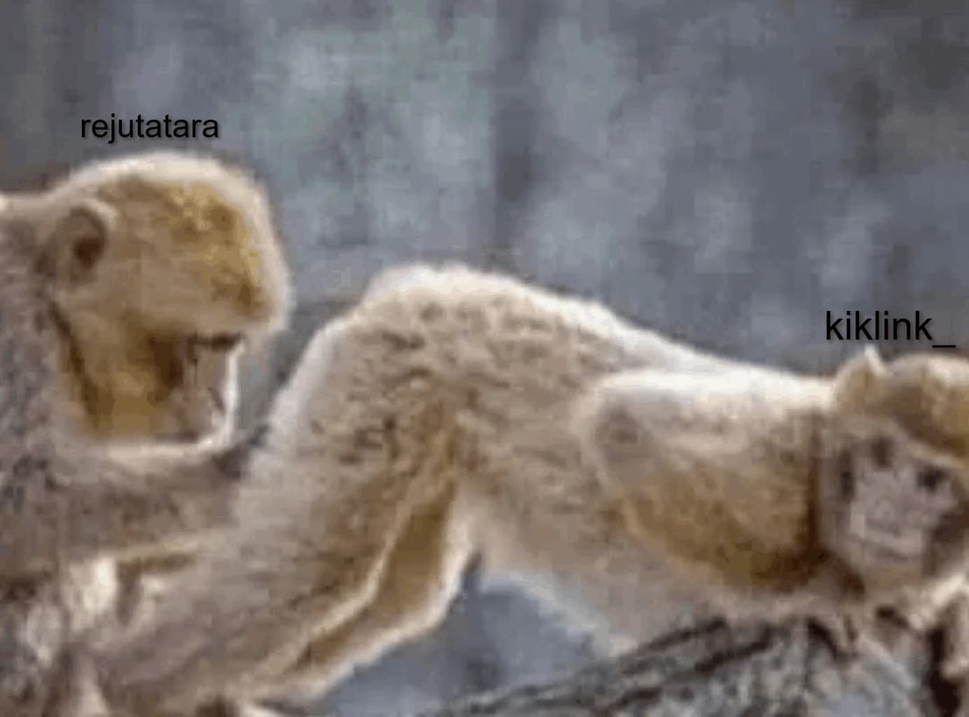 file1__2___1_.png