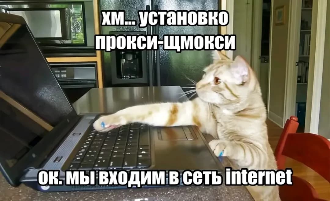 1000075799.png