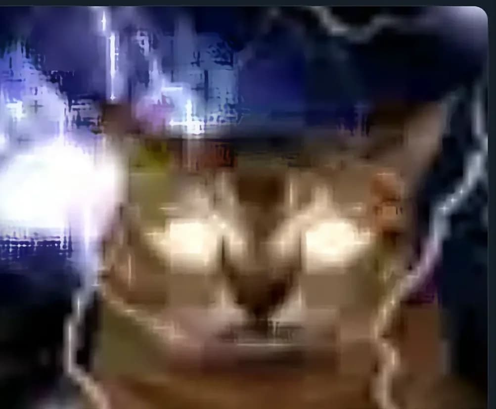 1000077477.png